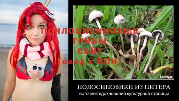 дмт Рославль