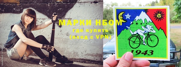 прущие грибы Алексин