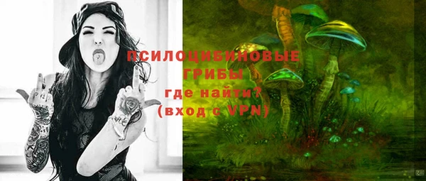 индика Гусев