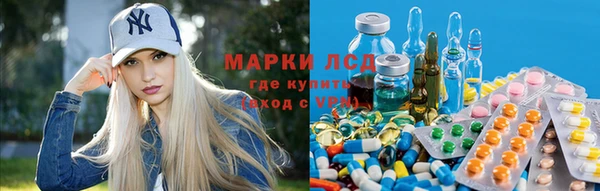 прущие крисы Беломорск