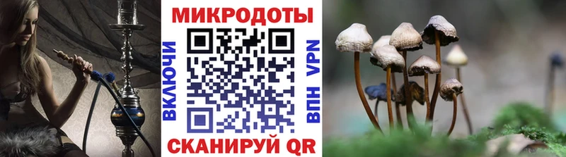 Псилоцибиновые грибы Magic Shrooms  как найти закладки  Строитель 